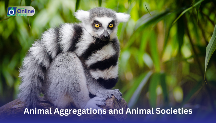 Lesson 18: Differentiation Between Animal Aggregations and Animal Societies